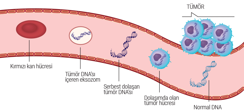 onkogenetiks-tumor